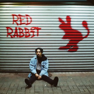 RED RABBIT lyrics | Boomplay Music