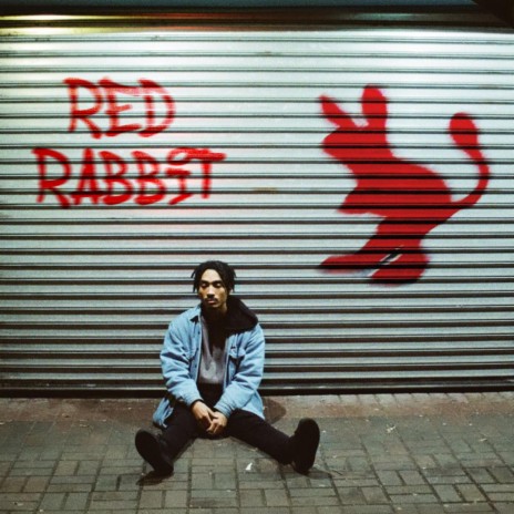 RED RABBIT | Boomplay Music