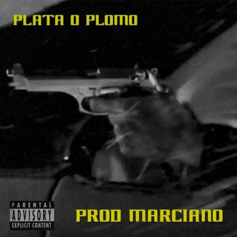 Plata o Plomo | Boomplay Music