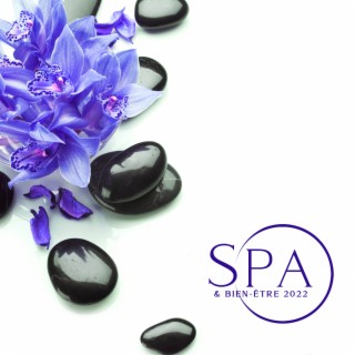 Spa & Bien-être 2022: Oasis de détente, Soins spa, Massage de guérison