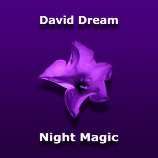 Night Magic