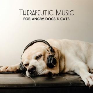 Therapeutic Music for Angry Dogs & Cats