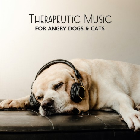 Peacful Music for Dog's Ears