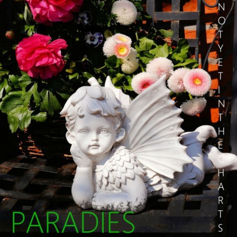PARADIES | Boomplay Music