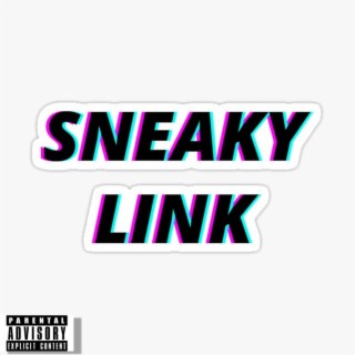 Sneaky Link