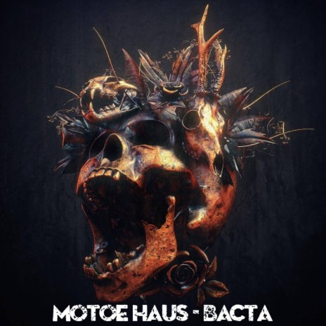 Bacta | Boomplay Music