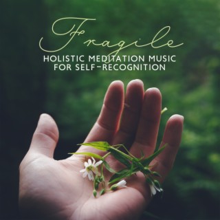 Fragile: Holistic Meditation Music for Self-Recognition to Stabilize Emotional Ups and Downs of a Mental and Emotional Roller Coaster