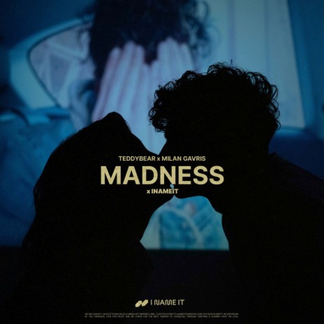 Madness ft. Milan Gavris & INAMEIT | Boomplay Music