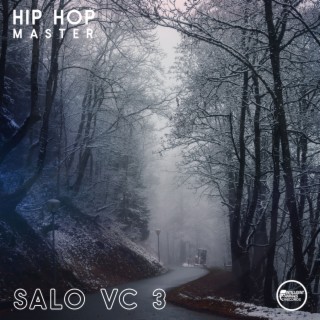 Salo VC 3