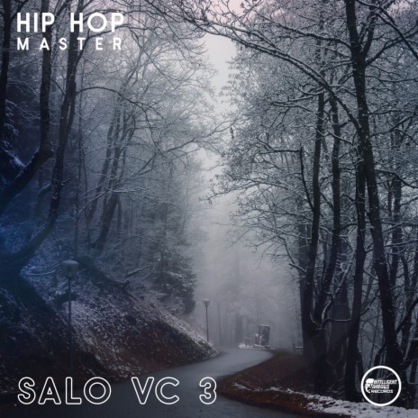 Salo VC 3 | Boomplay Music