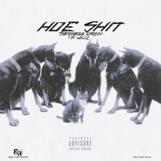 HOE SHIT ft. S. Willz lyrics | Boomplay Music