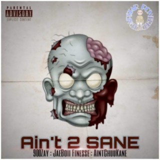 Aint2Sane (feat. 900Zay, Jaeboii Finesse & AintchuuKane)