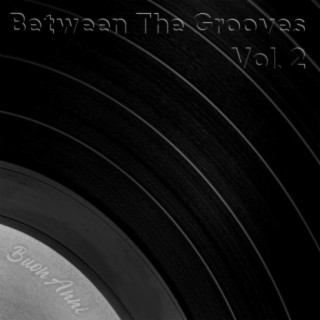 Between The Grooves, Vol. 2