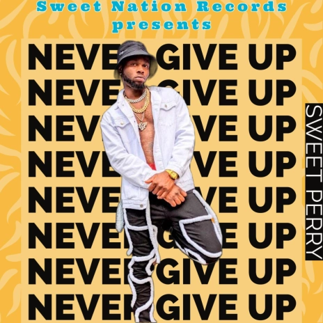 Never give up | Boomplay Music