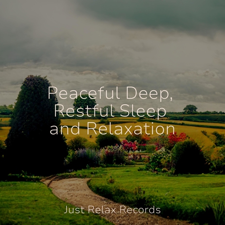 Whispers in a Winter Retreat ft. Deep Sleep Meditation & Meditar Profundamente | Boomplay Music