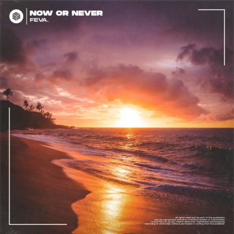 Now Or Never | Boomplay Music