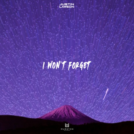 I wont forget | Boomplay Music