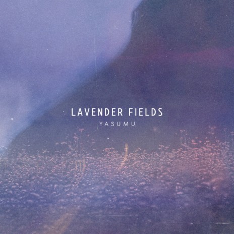 Lavender Fields | Boomplay Music