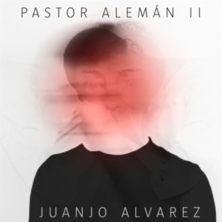 Pastor Alemán II