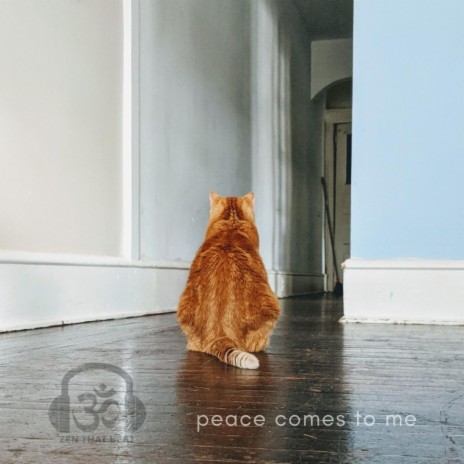 Peace Comes To Me | Boomplay Music