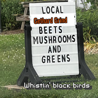 Whistlin' Black Birds