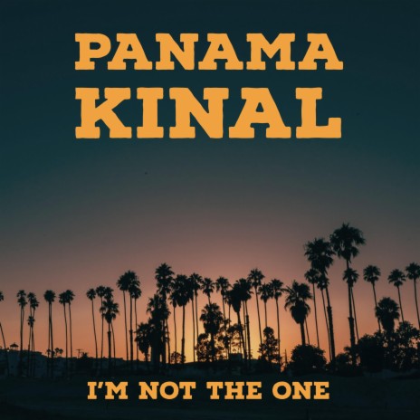 I'm Not The One | Boomplay Music