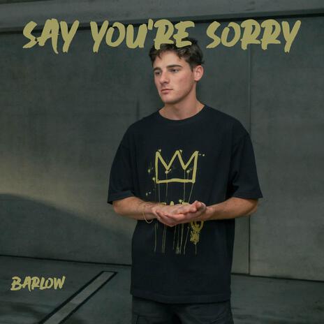 Say You're Sorry | Boomplay Music