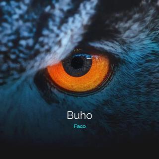 Buho