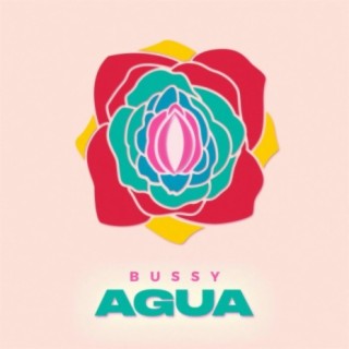 Bussy Agua (Gay Remix)