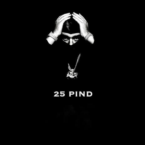 25 PIND | Boomplay Music