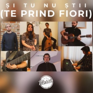 Si Tu Nu Stii (Te Prind Fiori)