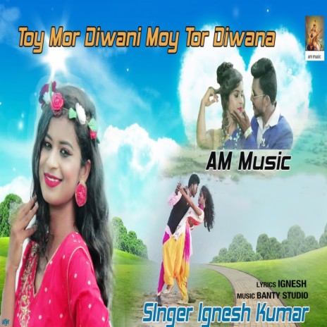 Toy Mor Diwani Moy Tor Diwana | Boomplay Music