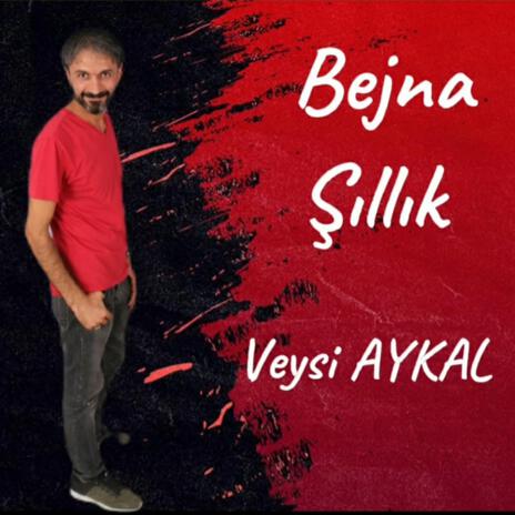 Bejna Şıllık | Boomplay Music