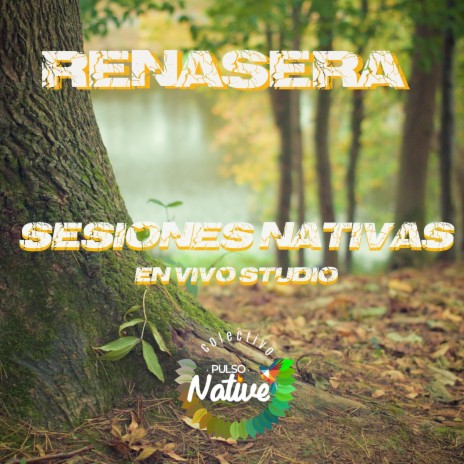 RenaSera (En vivo)