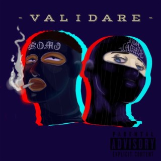 Validare