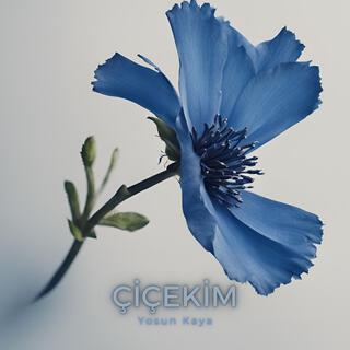 çiçekim lyrics | Boomplay Music