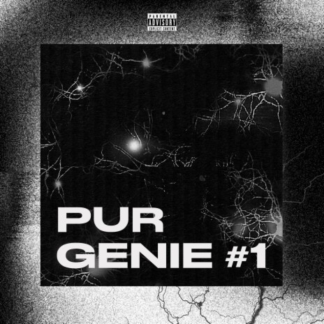 Pur Génie #1 ft. N.A.S