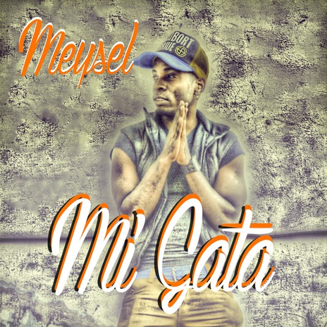 Mi gata | Boomplay Music