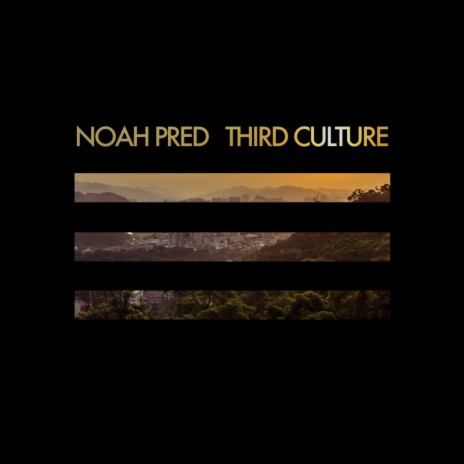 Third Culture (Original Mix)