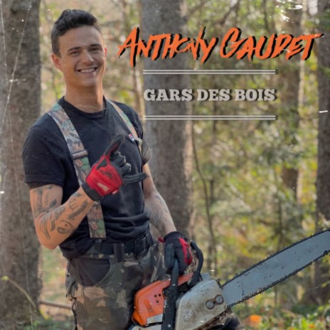 Gars des Bois (Radio Version) | Boomplay Music