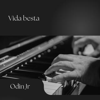 Vida besta