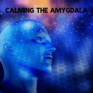 Calming the Amygdala: Anxiety Relief, Panic Attack Cure, Nerve Regeneration through Brainwave Therapy