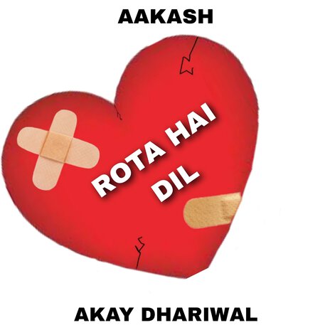 Rota Hai Dil ft. Aakash | Boomplay Music