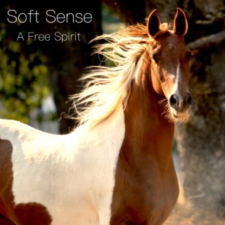 Soft Sense