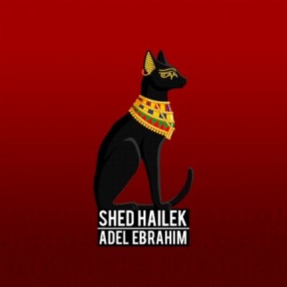 Shed Hailek