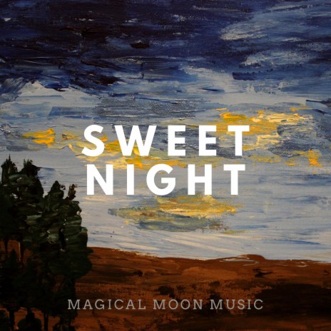 Sweet Night | Boomplay Music
