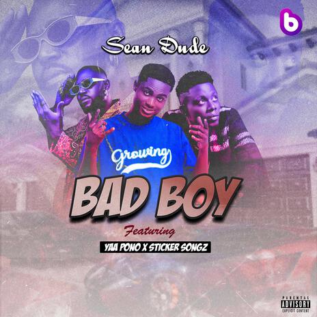 Bad Boy (Remix) ft. Yaa Pono & Sticker Songs | Boomplay Music