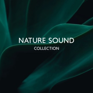 NATURE SOUND COLLECTION – Relaxing And Soothing Green Noise & Instrumental Music