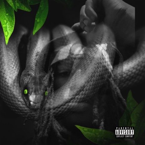 Snake Skin | Boomplay Music