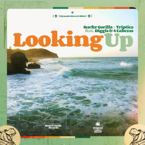Looking Up ft. Surfer Gorilla, Diggis & 4 Cabezas | Boomplay Music